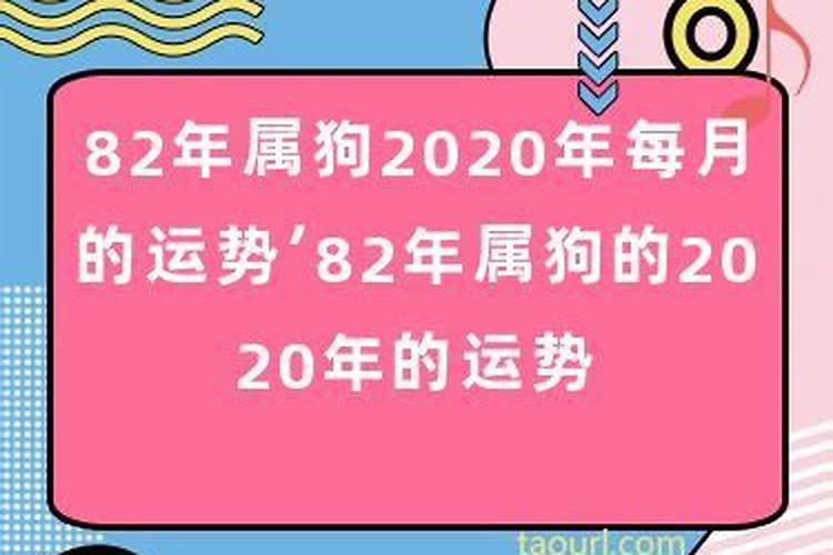 82年的在2020年的运势