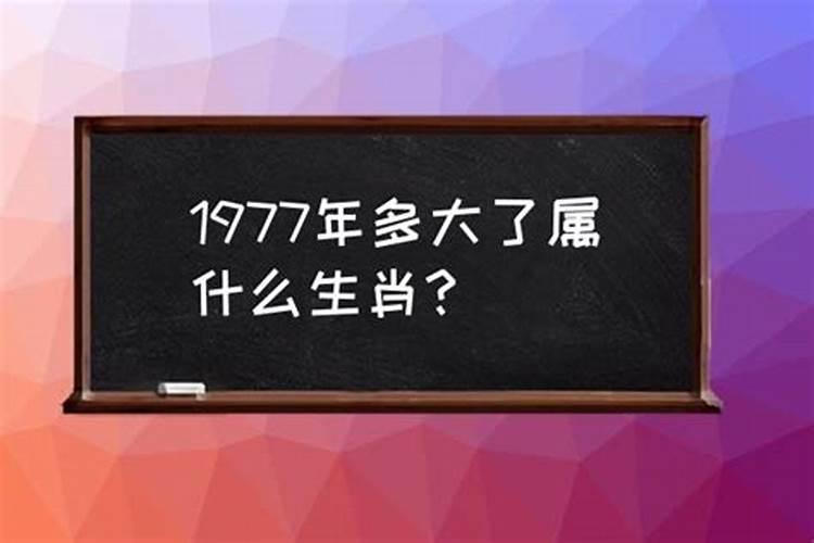 77年的属什么