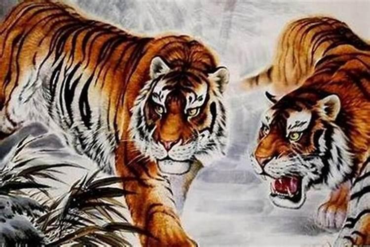 虎和虎的属相能婚配吗