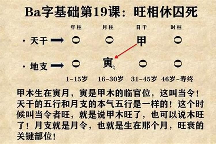 八字最基础的内容是什么意思