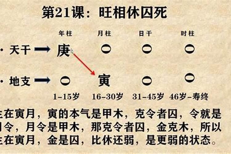 八字基础知识入门图解