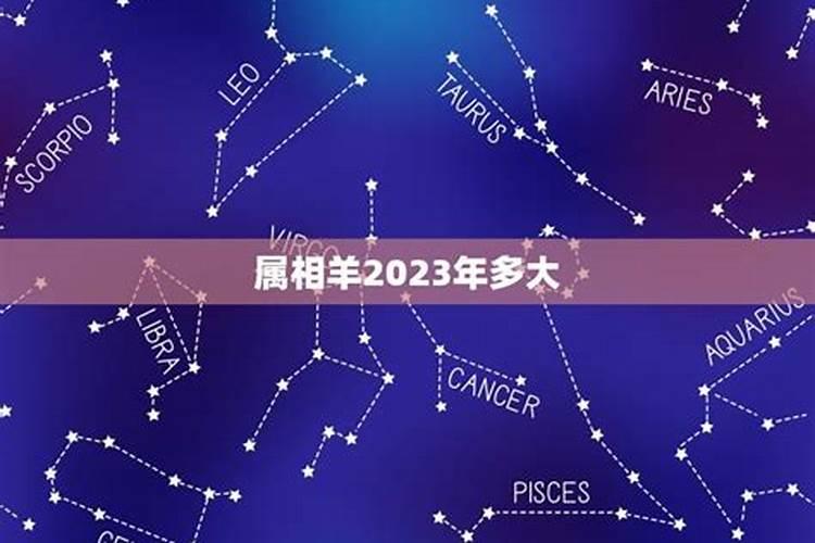 2023属羊多大了