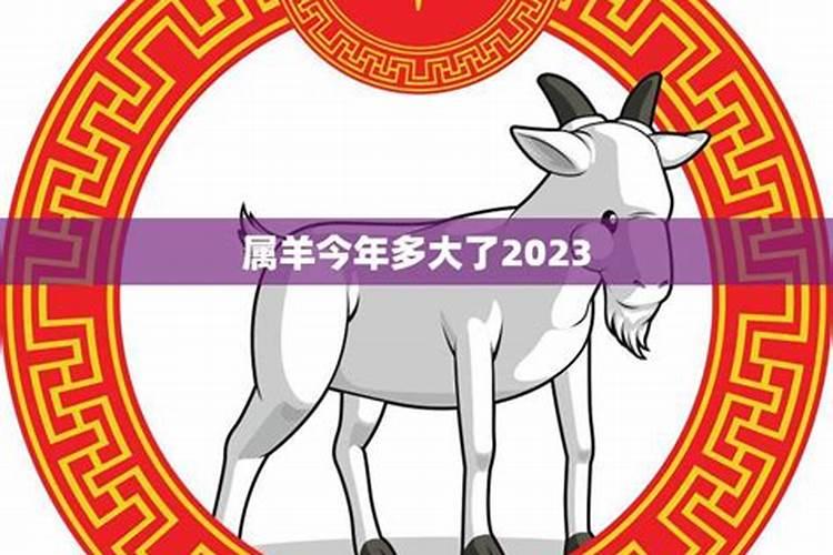 2023属羊多大