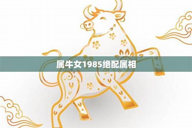 属龙和属虎今年运势