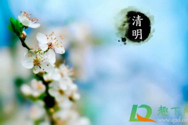 清明节早晨烧纸