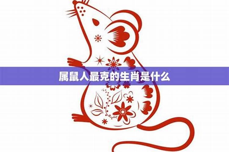 属鼠人一生最克谁，和什么属相相克