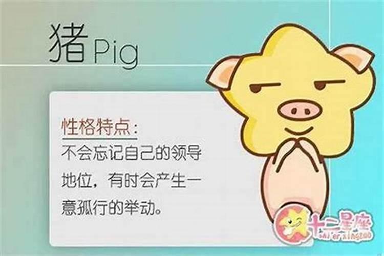 属猪买房哪个方位最好