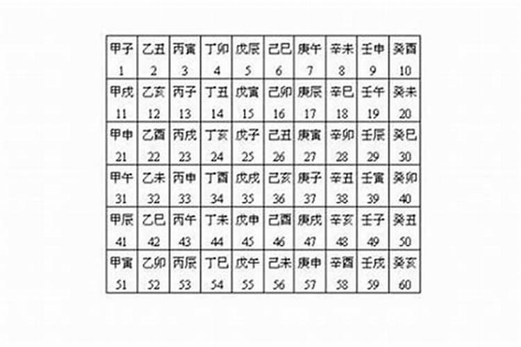 八字合日支什么意思