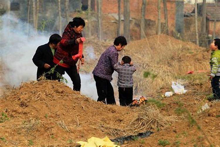 清明节后坟上可以栽树吗