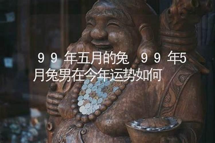 99年的兔子今年运势