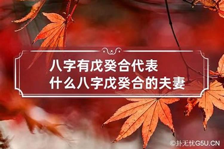 戊癸合的男八字什么意思