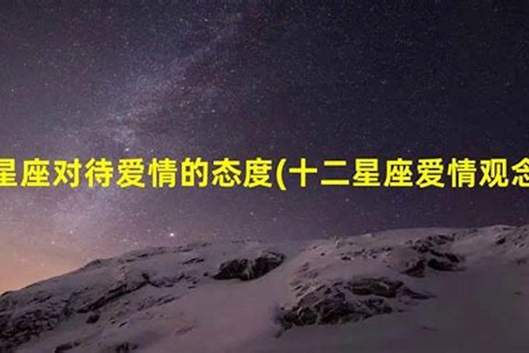 12星座对爱情的态度