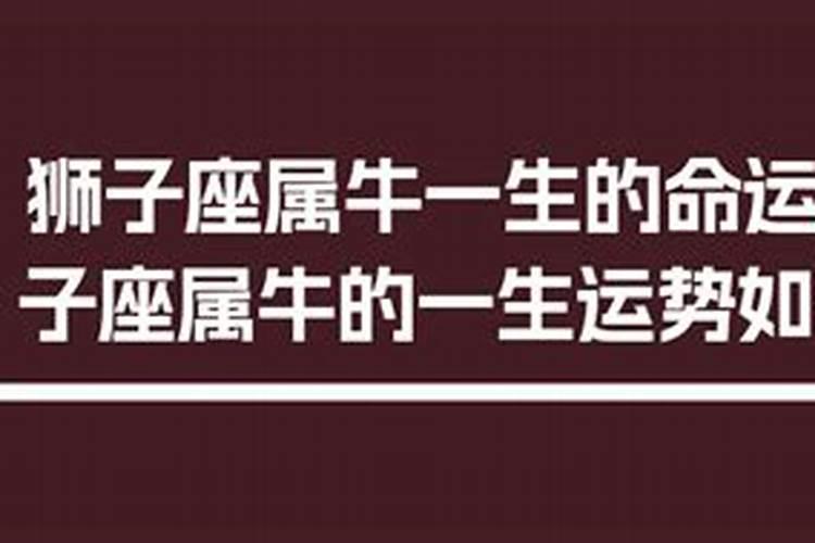 属牛女狮子座婚姻状况