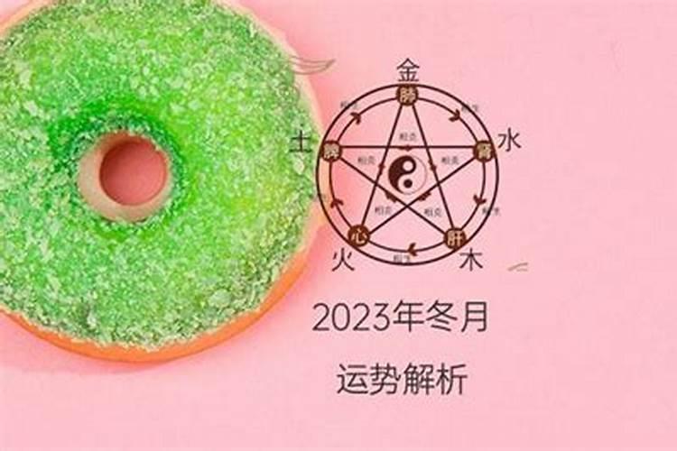 生肖猪运程2023下半年