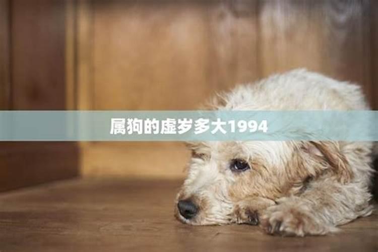 属狗的今年多大1994年出生人