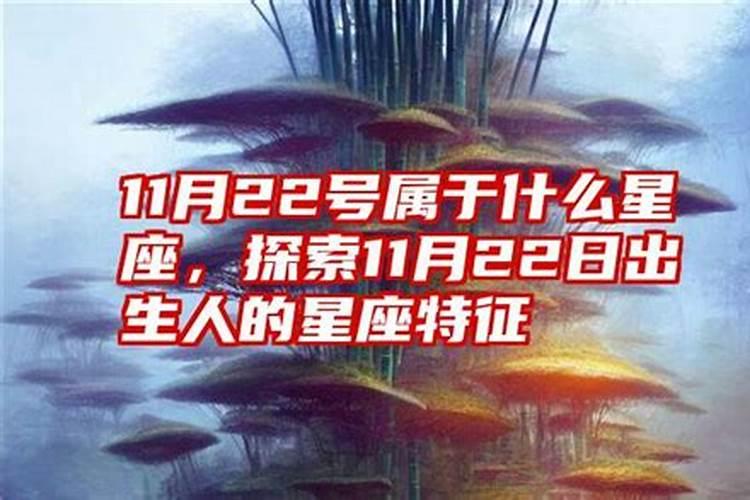 11月22日是属于什么星座