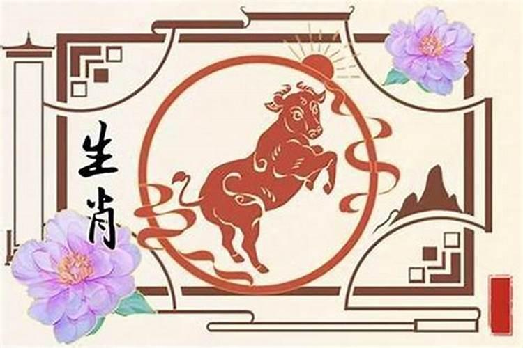 73年属牛49岁是什么命