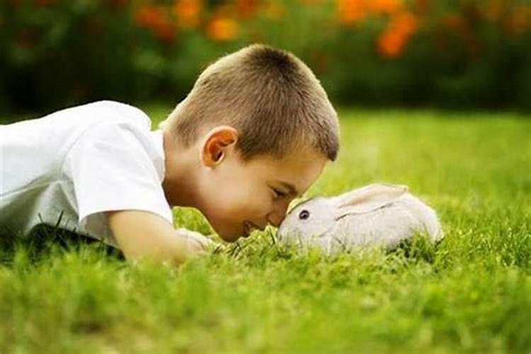 属兔的人与什么属相的人合作最好