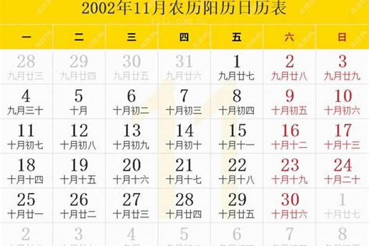 2002年11月11日是什么星座？