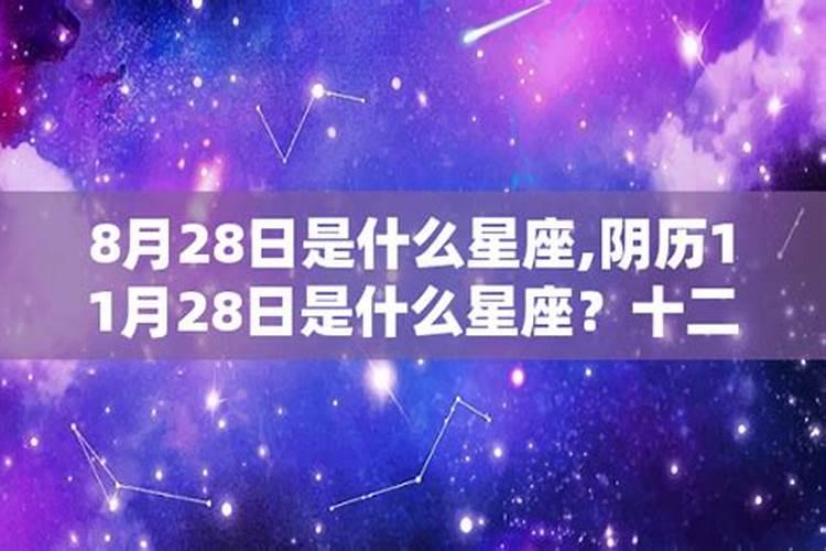 农历11月28号什么星座