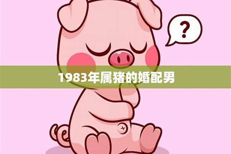 1983属猪婚配最佳属相