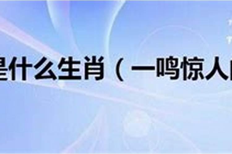 一鸣惊人财运通代表什么生肖