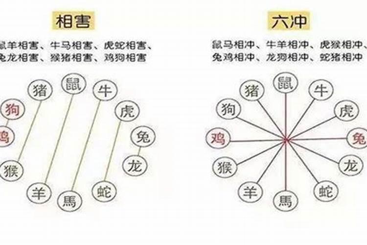 龙和什么属相冲相克