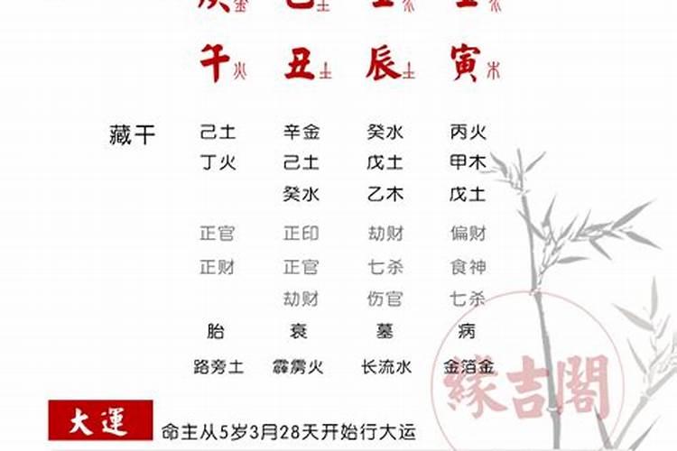 八字能看到未来对象