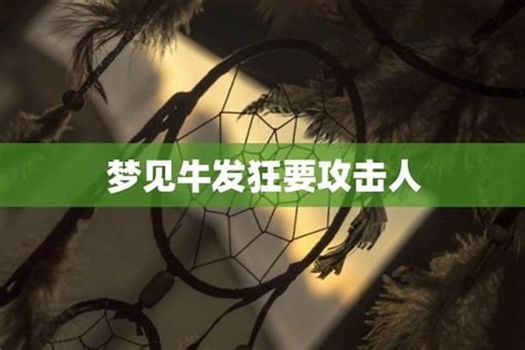 梦见牛发疯攻击别人下水