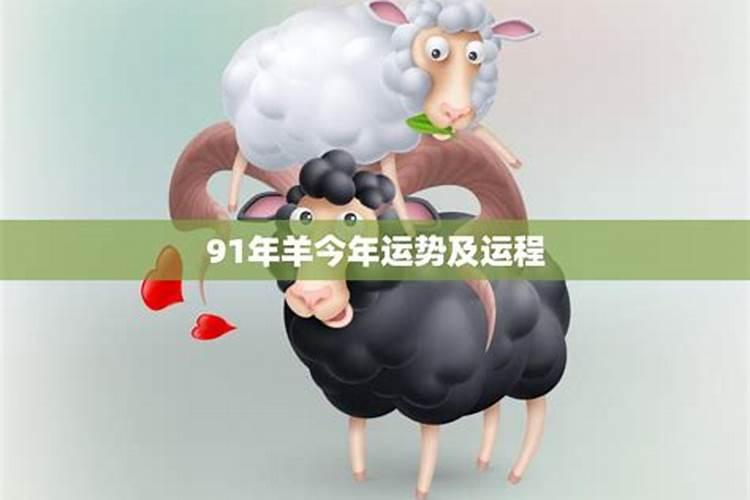 91的羊2021运势如何