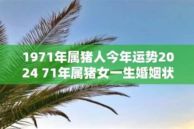 1971年属猪的婚姻运势详解一下