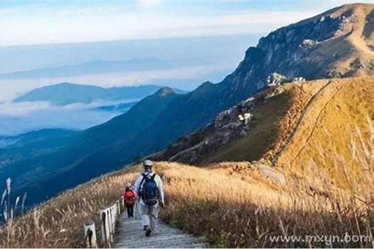 梦见要登山