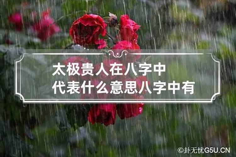 生辰八字中太极指的什么意思