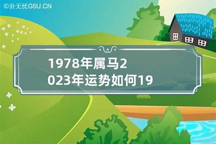 78年属马2023年运势如何