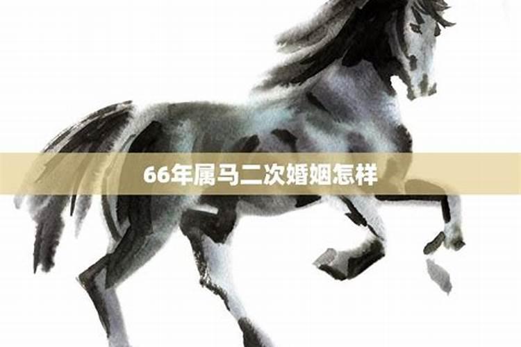 66年属马和66年属马的婚姻