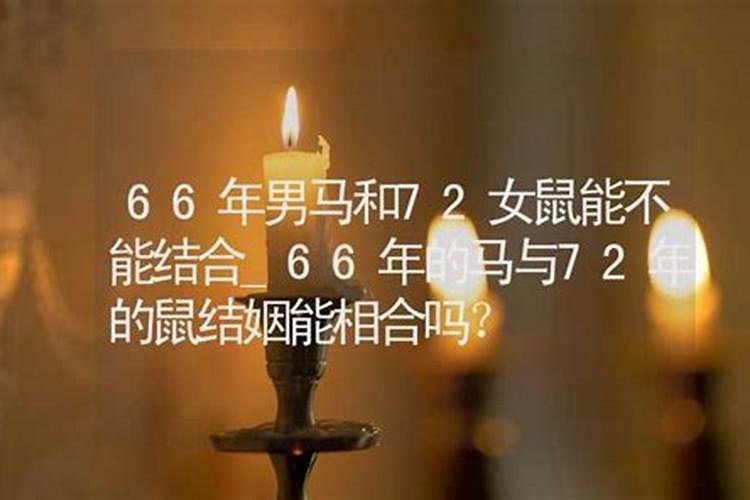 66年的马和66年的马婚姻合不合财