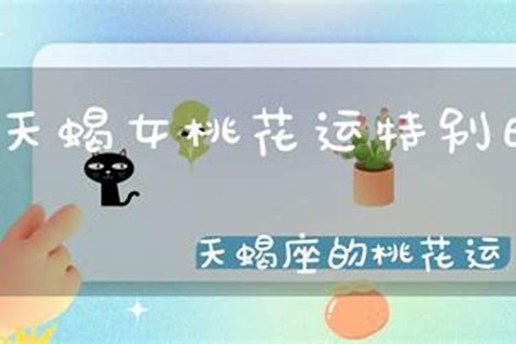 天蝎今年桃花运是什么星座