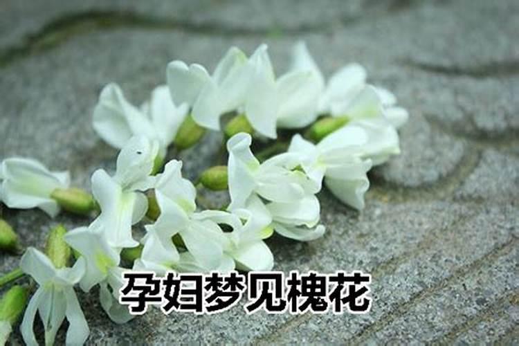 孕妇梦到槐花是胎梦吗