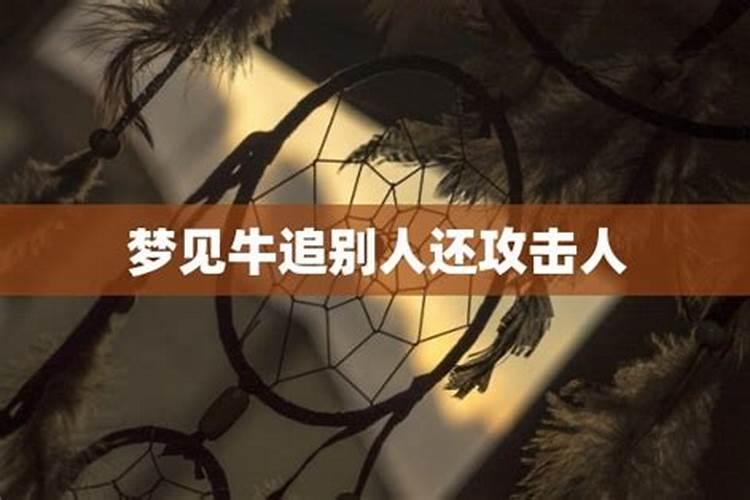 梦见牛发疯攻击人怎么回事