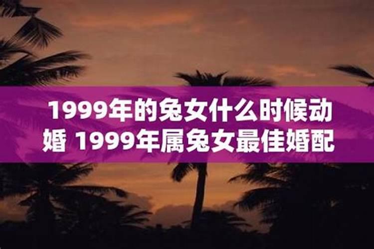 1999年的兔女最佳婚配属相是什么