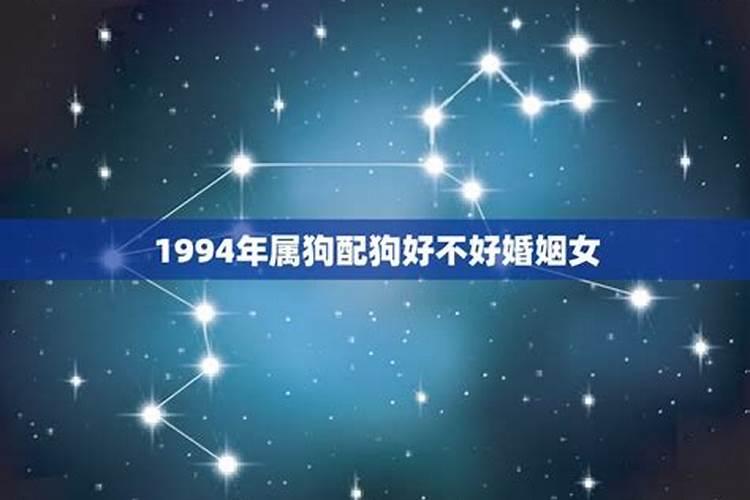 1994年属狗人今年婚姻好不好