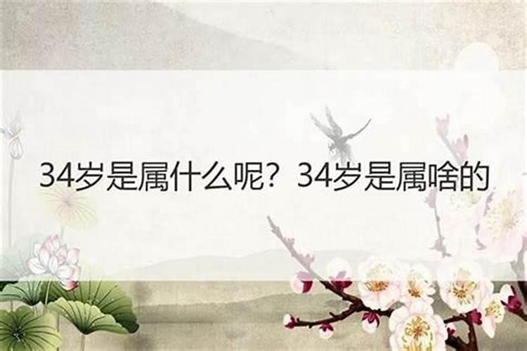 34岁属什么