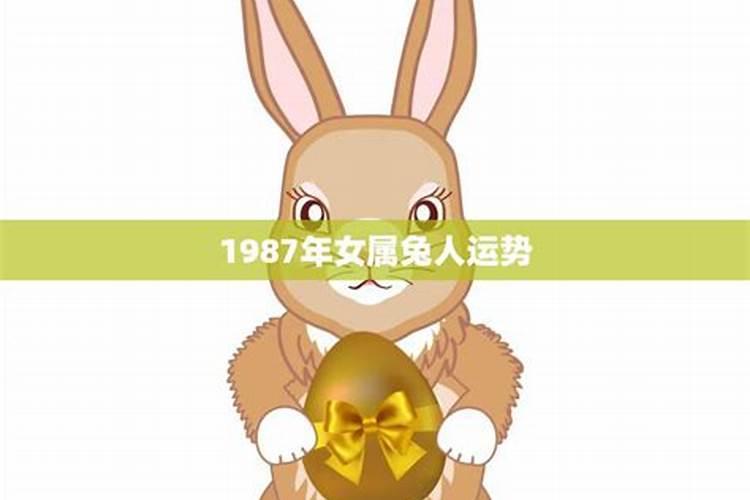 2023年属兔女1987全年运势