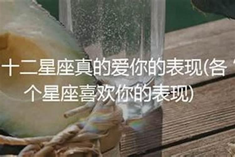 水瓶爱你的10种表现