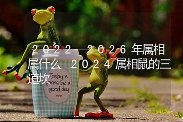 2026年的属相是什么生肖