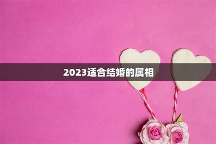 2023年会结婚的星座配对