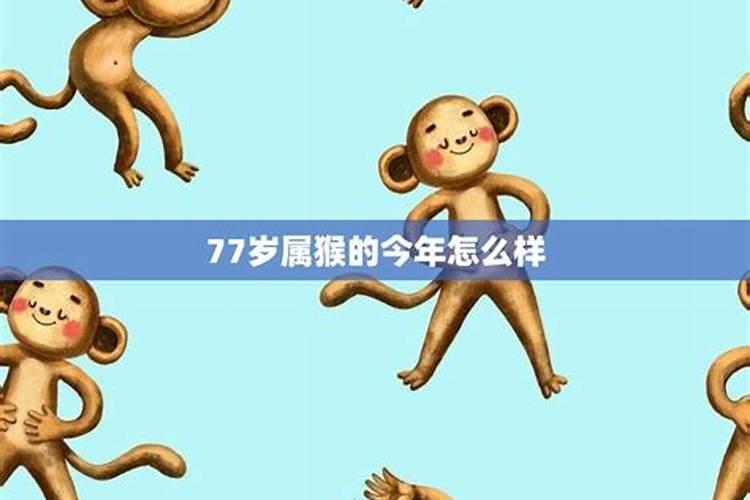 77岁属什么生肖今年几岁