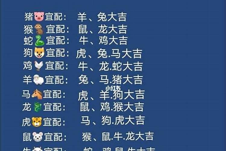 算命免费八字合婚