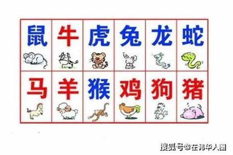 属马和属羊八字合不合