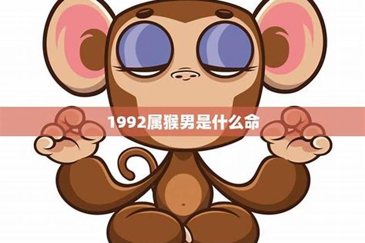 属猴1992年五行属什么